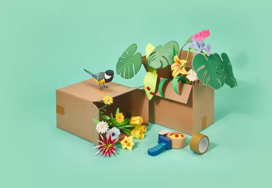 L'art de la personnalisation : Comment MagicSign réinvente l'impression en ligne